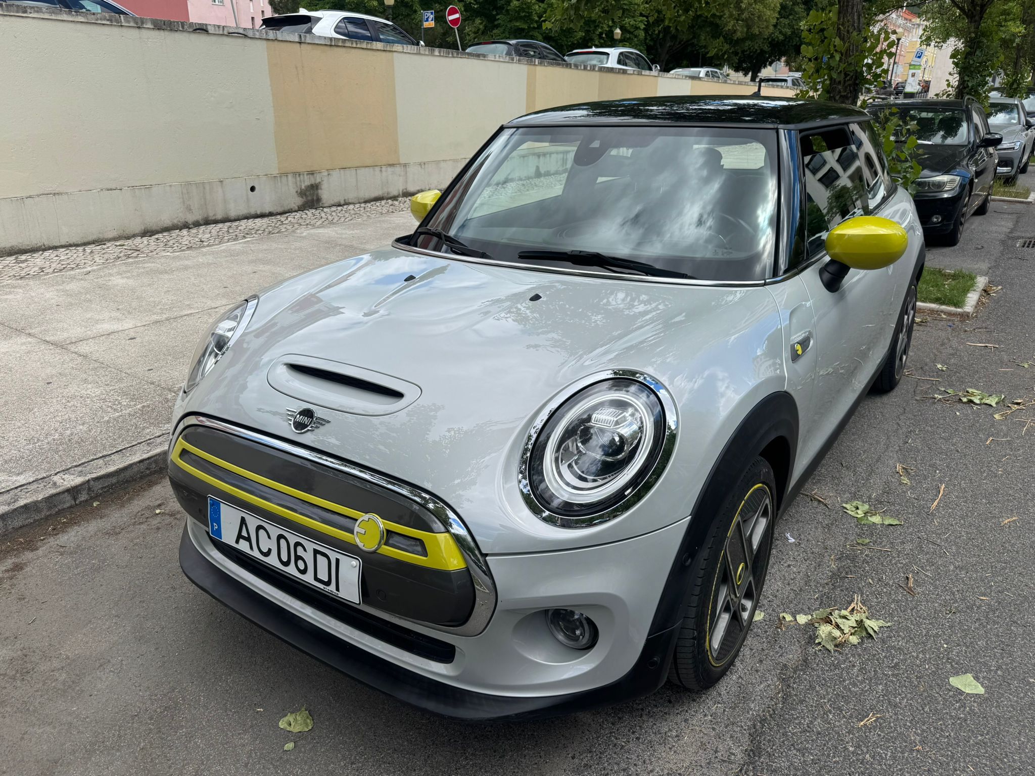 Mini Electric