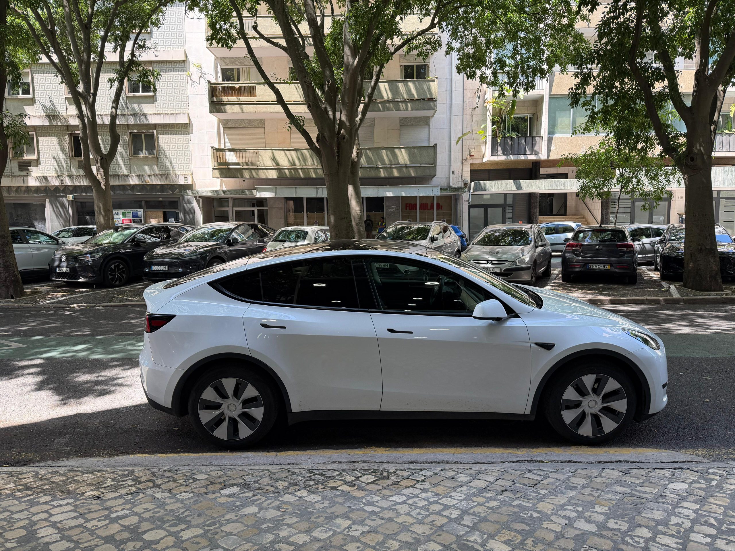 Tesla Y